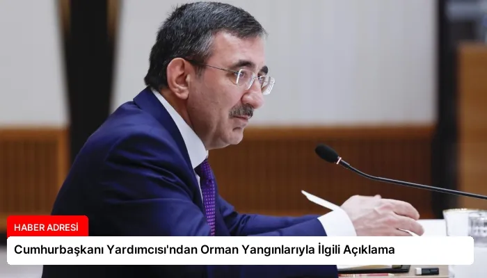 Cumhurbaşkanı Yardımcısı’ndan Orman Yangınlarıyla İlgili Açıklama
