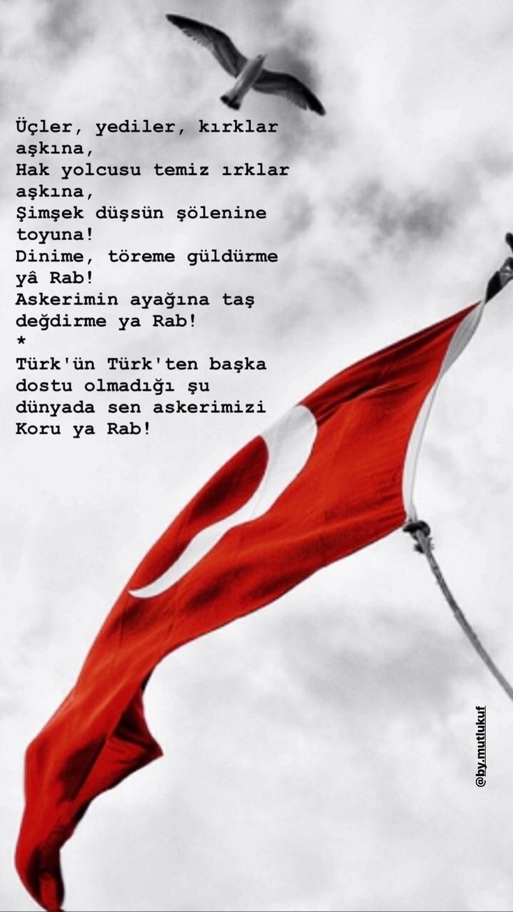 **İbrahim Murat Gündüz’den Tunceli’de Şehit Düşen Askerler İçin Duygusal Mesaj**