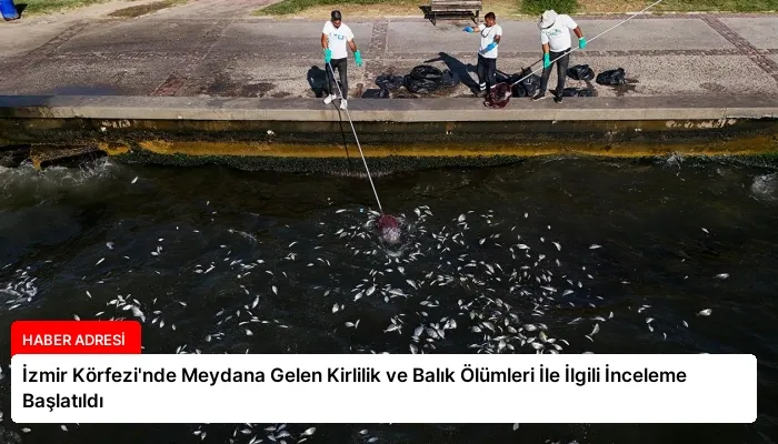 İzmir Körfezi’nde Meydana Gelen Kirlilik ve Balık Ölümleri İle İlgili İnceleme Başlatıldı