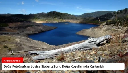 Doğa Fotoğrafçısı Lovisa Sjoberg Zorlu Doğa Koşullarında Kurtarıldı