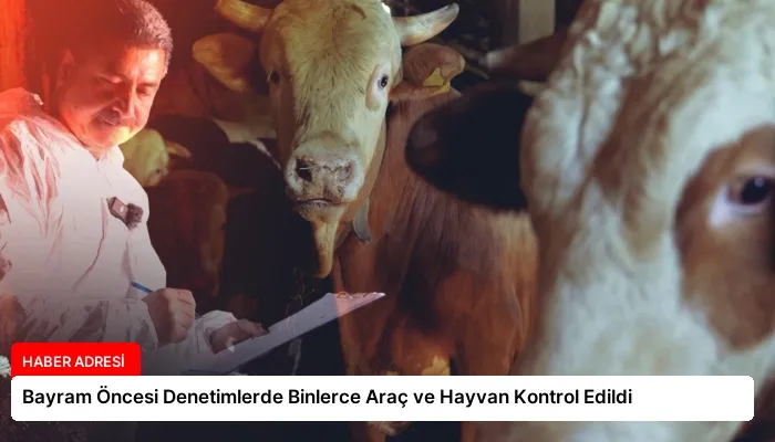Bayram Öncesi Denetimlerde Binlerce Araç ve Hayvan Kontrol Edildi