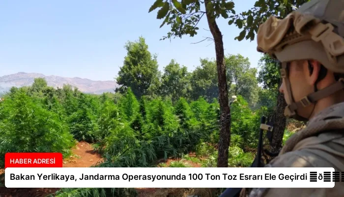 Bakan Yerlikaya, Jandarma Operasyonunda 100 Ton Toz Esrarı Ele Geçirdi ⏬👇