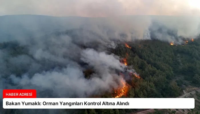Bakan Yumaklı: Orman Yangınları Kontrol Altına Alındı