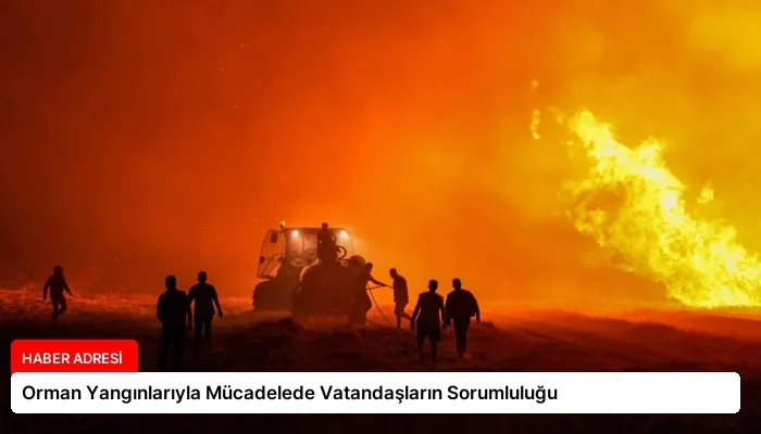 Orman Yangınlarıyla Mücadelede Vatandaşların Sorumluluğu
