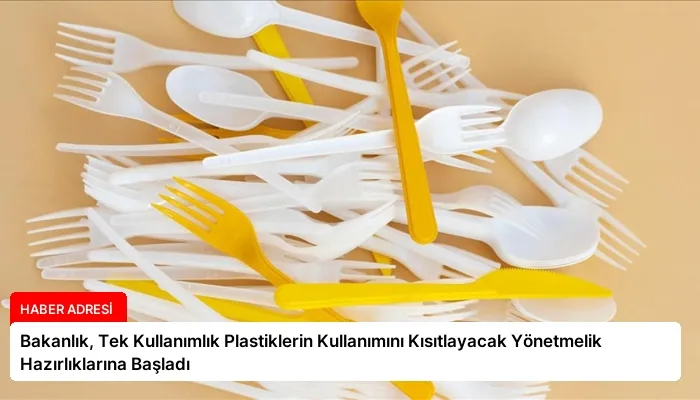 Bakanlık, Tek Kullanımlık Plastiklerin Kullanımını Kısıtlayacak Yönetmelik Hazırlıklarına Başladı