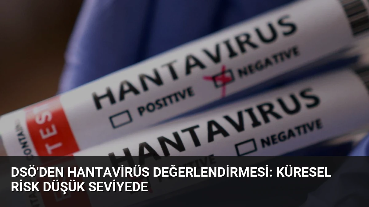 DSÖ’den Hantavirüs Değerlendirmesi: Küresel Risk Düşük Seviyede