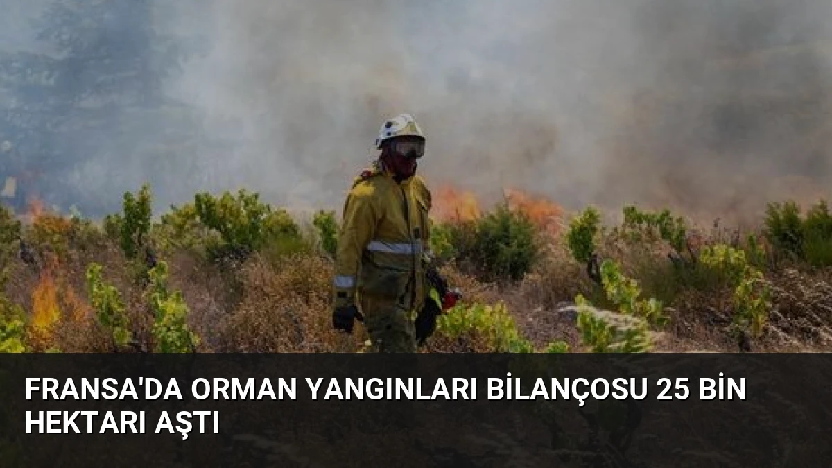 Fransa’da Orman Yangınları Bilançosu 25 Bin Hektarı Aştı