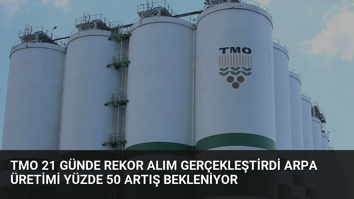 TMO 21 Günde Rekor Alım Gerçekleştirdi Arpa Üretimi Yüzde 50 Artış Bekleniyor