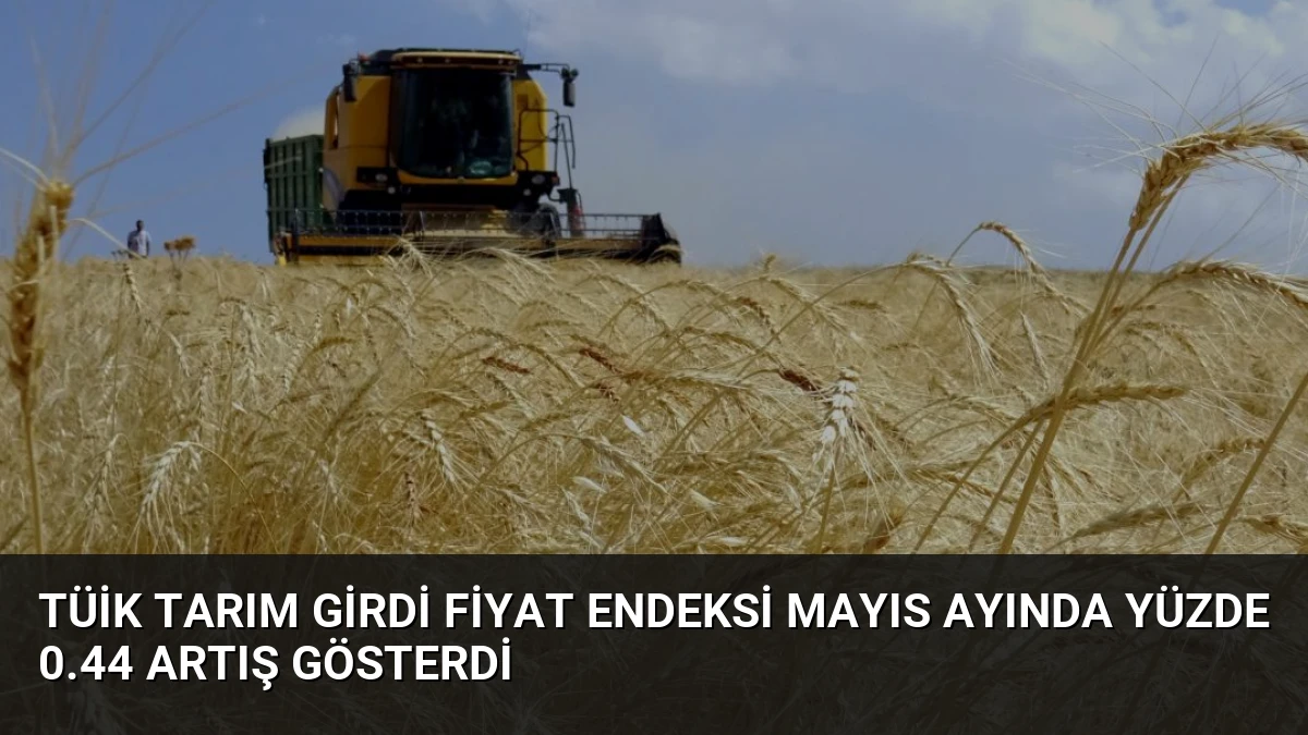 TÜİK Tarım Girdi Fiyat Endeksi Mayıs Ayında Yüzde 0.44 Artış Gösterdi