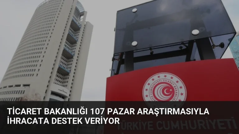 Ticaret Bakanlığı 107 Pazar Araştırmasıyla İhracata Destek Veriyor