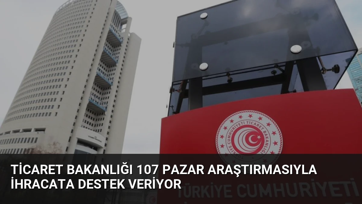 Ticaret Bakanlığı 107 Pazar Araştırmasıyla İhracata Destek Veriyor