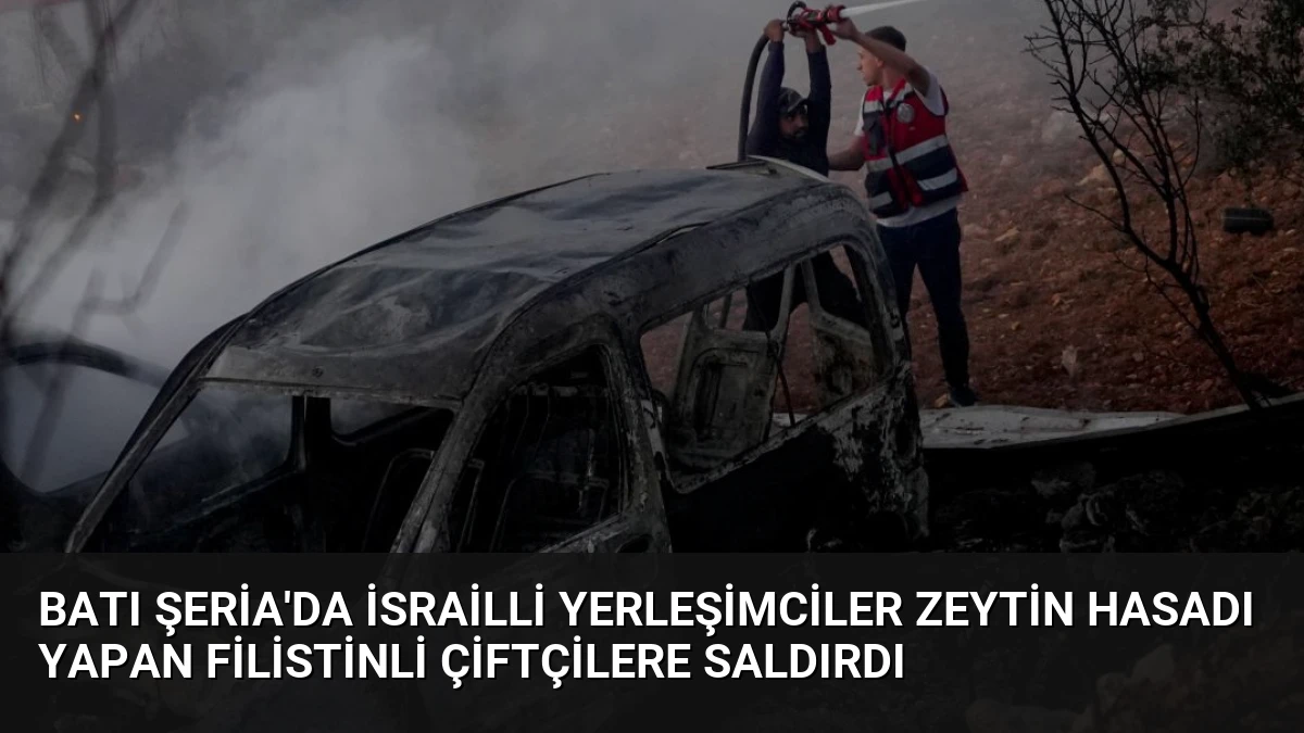 Batı Şeria’da İsrailli Yerleşimciler Zeytin Hasadı Yapan Filistinli Çiftçilere Saldırdı