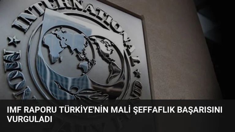 IMF Raporu Türkiye’nin Mali Şeffaflık Başarısını Vurguladı