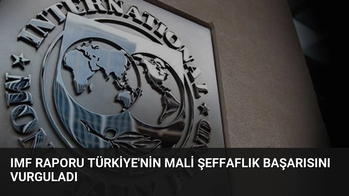 IMF Raporu Türkiye’nin Mali Şeffaflık Başarısını Vurguladı