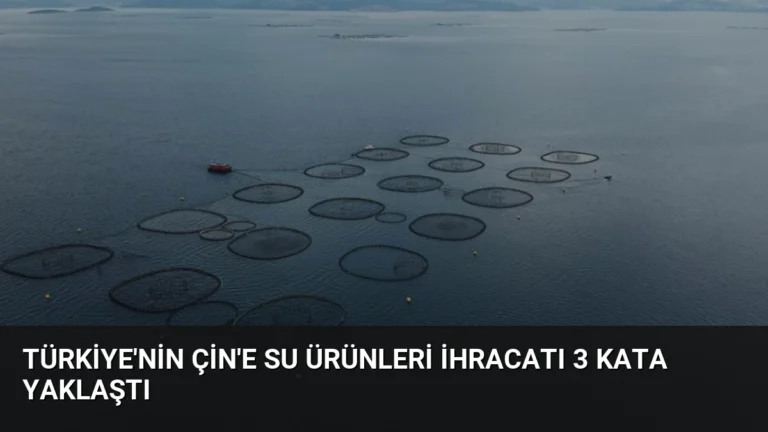 Türkiye’nin Çin’e Su Ürünleri İhracatı 3 Kata Yaklaştı